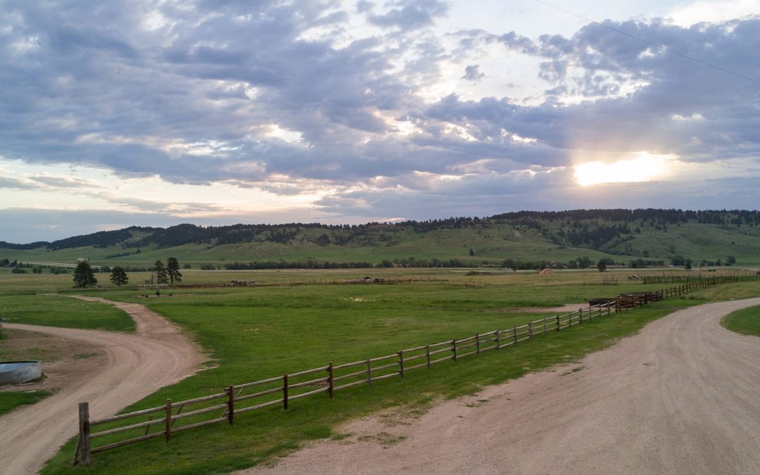 New South Dakota Grazing Exchange Website Officially Released