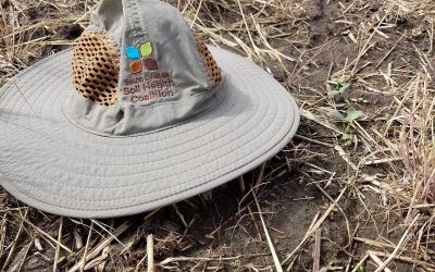 Collaborative Project Contains An Important Health Message For You and Your Soil