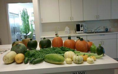 Mother of God Monastery Milpa Garden Yields Fresh Produce & Soil Health