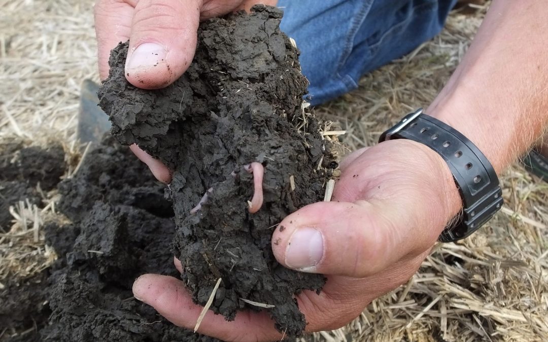 Learn How to Increase Yields & Profits During 2019 Soil Health School
