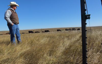 Resiliency In The Face Of Extreme Weather, Major Stress