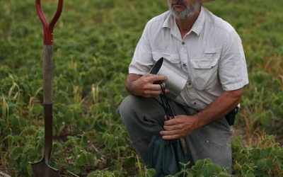 Weathering The Storms of 2019, Results Seen This Planting Season