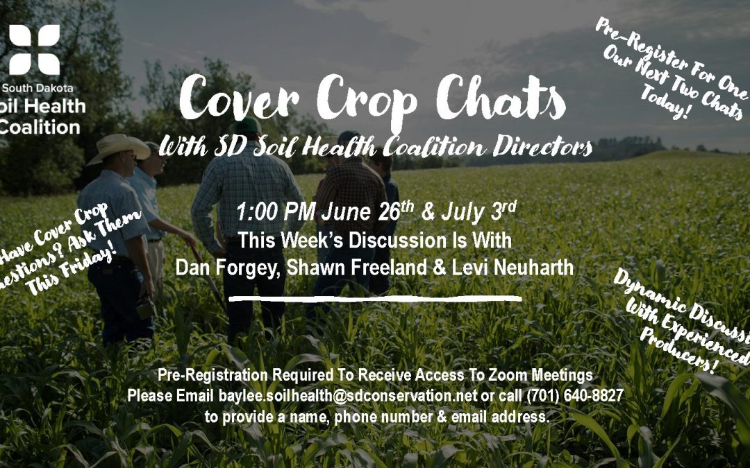 “Cover Crop Chats” With SDSHC Directors 6/26