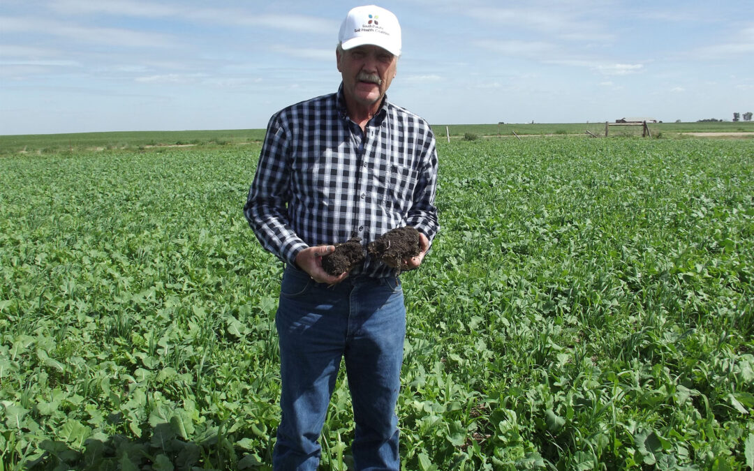 Soil health practices build soil and the bottom line