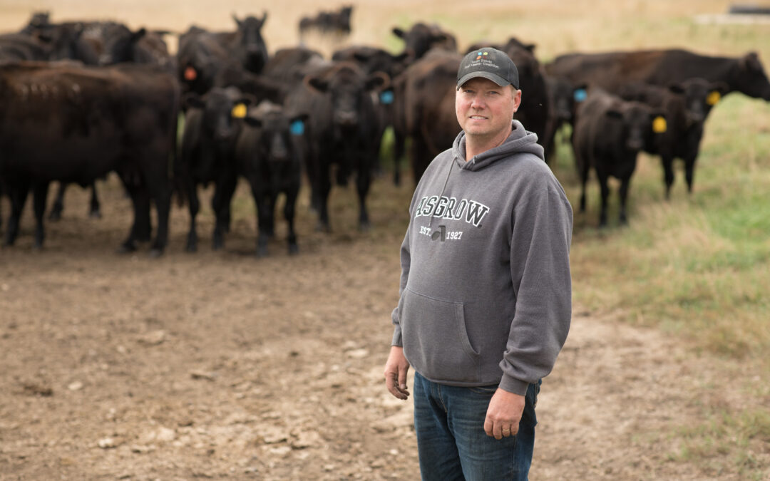 Playing the course: Farmer manages variety and builds resilience through soil health