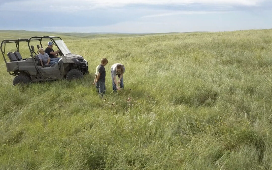 Soil health producers have more confidence in their systems