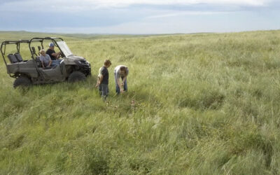 Soil health producers have more confidence in their systems