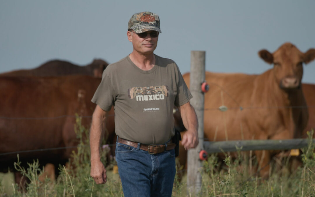 His ground bounces back: Everything works a little better with healthy soil