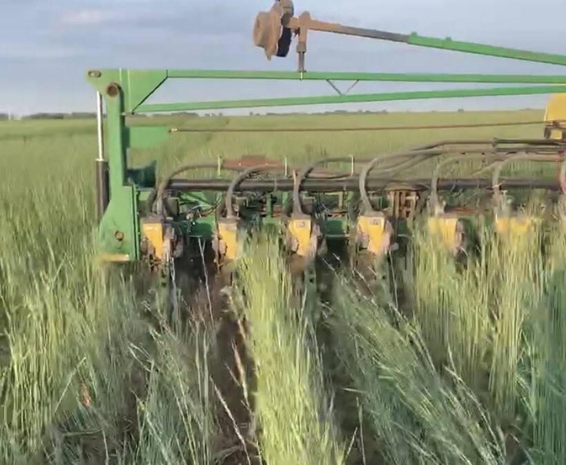 Planting green: Rethinking cropland management
