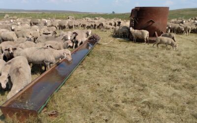 Finding the right water solutions for a rotational grazing plan