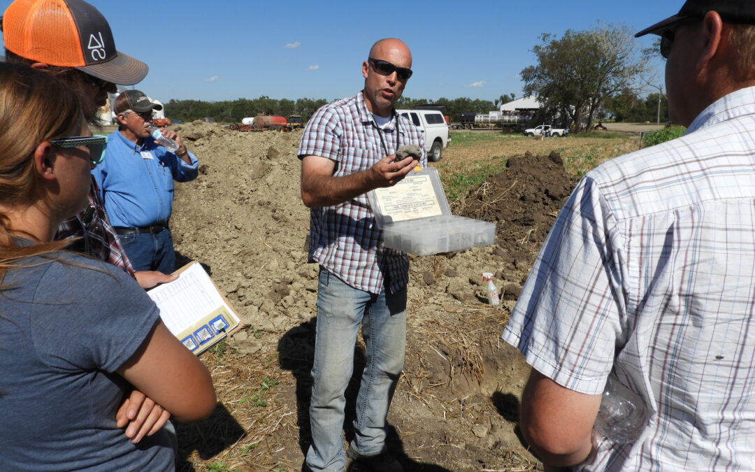 Soil Health School: Changing farms, changing lives