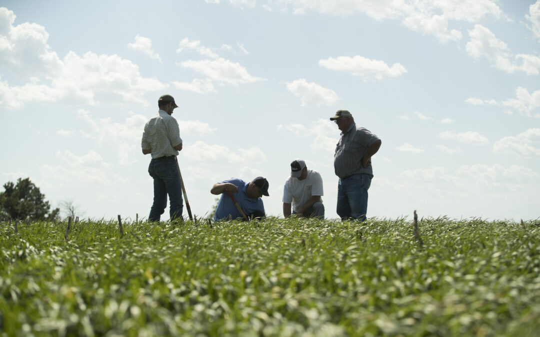 Soil Health Tour set for July 21 near Wessington Springs