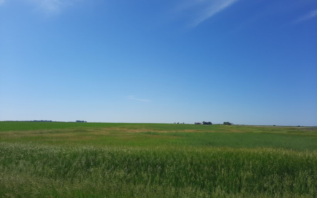 Conservation Reserve Program benefits can outweigh high commodity prices
