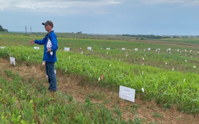 Soil Health School: Results of residual herbicides on cover crops