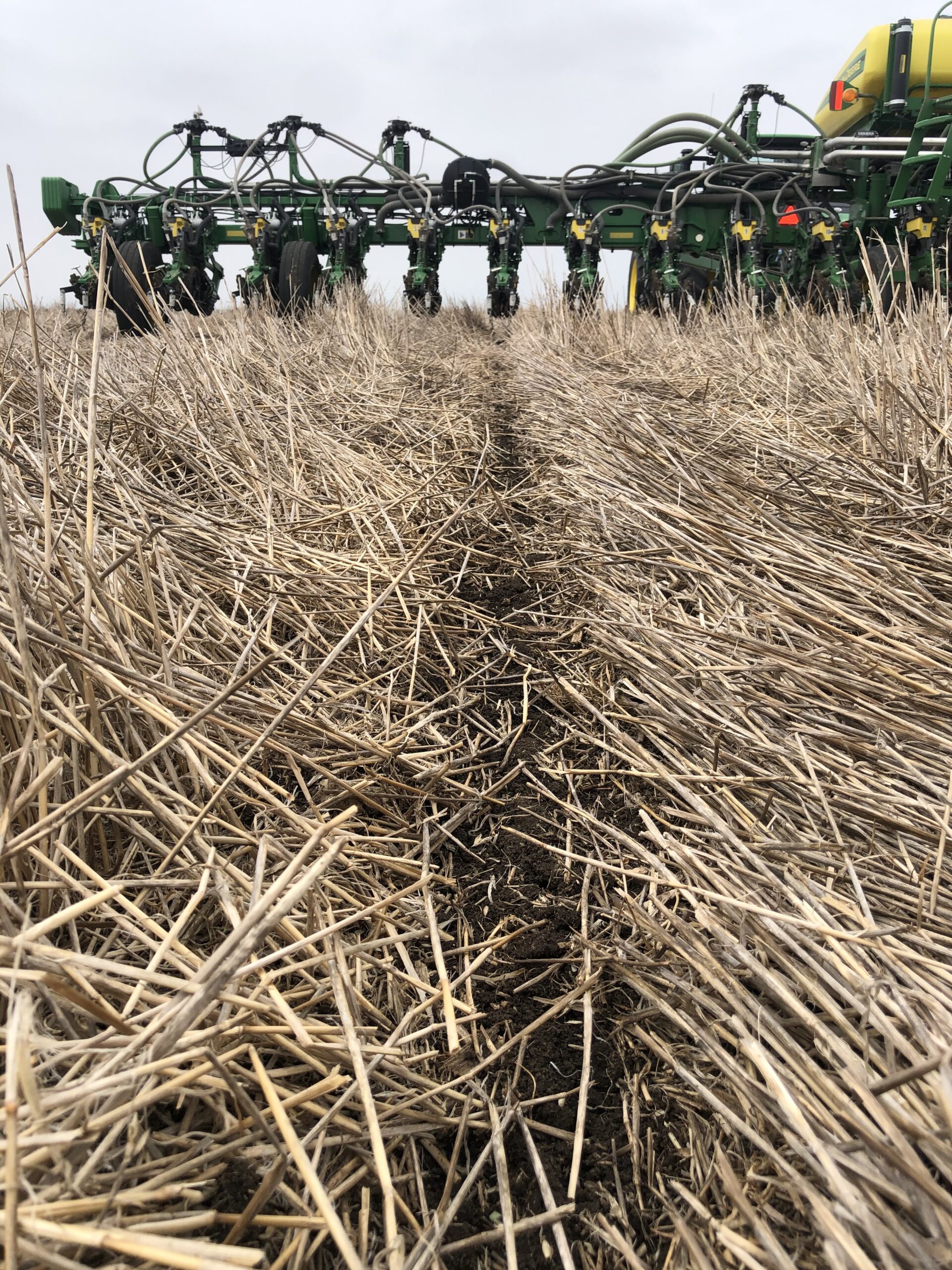 Cronin Farms plants directly into stubble left by their small grain crops. This crop residue protects the soil, aids moisture retention, and builds soil organic matter. Courtesy photo.