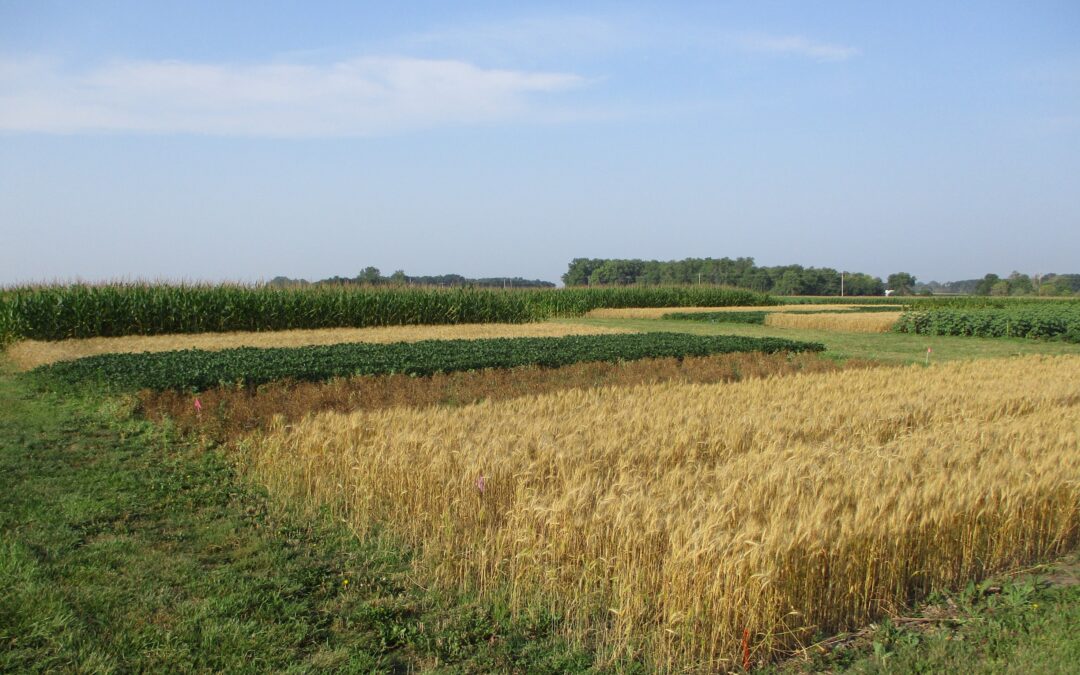 Long-term research reveals advantages of diverse crop rotations