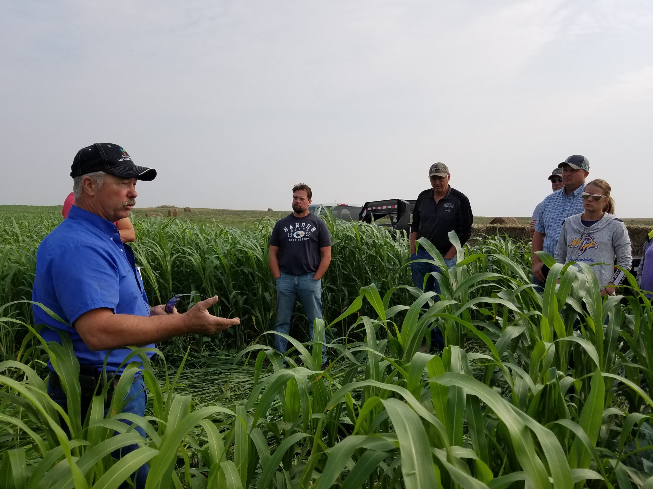 Doug Sieck, wearing a blue shirt and black cap, stands in a cover crop field speaking to several adult listeners. The cover crop is chest high.