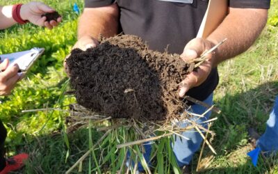 Research ties healthy soil biology to a host of benefits