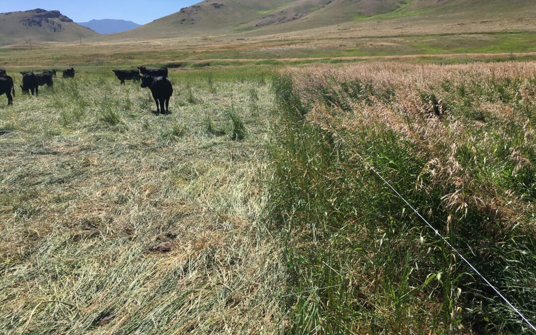 Farm and ranch innovators to share new ideas at Soil Health Conference